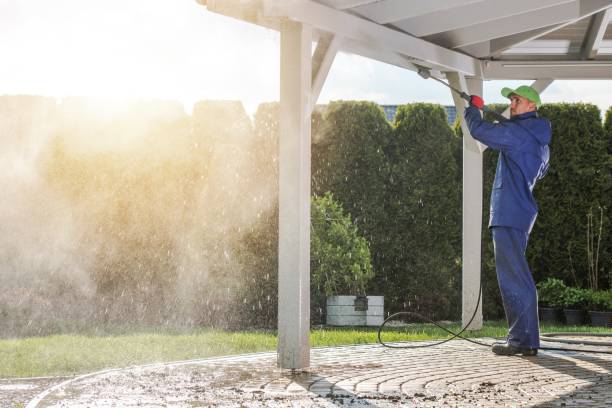 Best Gutter Cleaning  in Roseto, PA